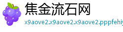 焦金流石网